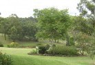Thomas Plainresidential-landscaping-40.jpg; ?>